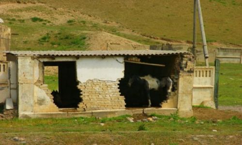 Zdjęcie KIRGIZJA / Okolice Narynia   / Okolice Narynia  / Przystanek