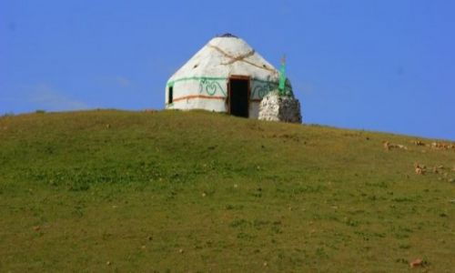 Zdjcie KIRGIZJA / Pod Naryniem  / Pod Naryniem  / Na skale