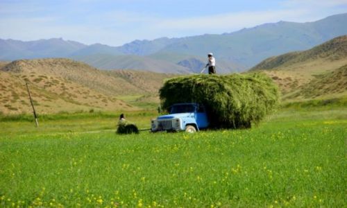 Zdjęcie KIRGIZJA / Kara Talaa / Kara Talaa / Sianokosy