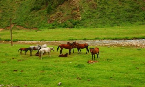 Zdjęcie KIRGIZJA / Dolan Pass / Dolan Pass / Dolan Pass