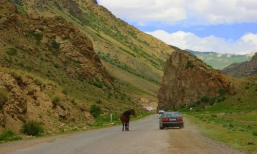 Zdjcie KIRGIZJA / Dalpa Pass / Dalpa Pass / Dalpa Pass