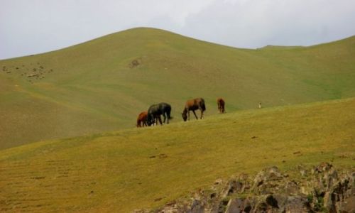 Zdjcie KIRGIZJA / Dalpa Pass / Dalpa Pass / Dalpa Pass