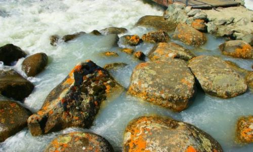 Zdjęcie KIRGIZJA / Kwiatowa Polana / Kwiatowa Polana / Kwiatowa Polana