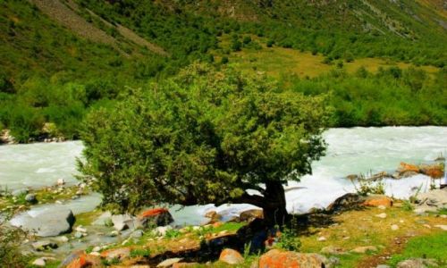 Zdjcie KIRGIZJA / Jet Oguz / Jet Oguz / Samotne