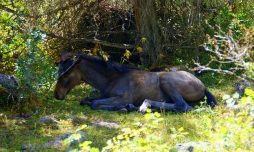 Zdjęcie KIRGIZJA / Jeti Aguz / Jeti Aguz / Jeti Aguz