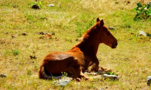 Zdjęcie KIRGIZJA / Jeti Aguz / Jeti Aguz / Jeti Aguz
