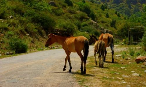 Zdjęcie KIRGIZJA / Jeti Aguz / Jeti Aguz / Jeti Aguz