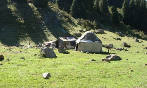 Zdjcie KIRGIZJA / - / Dolina Ak-soo / Poranek w dolinie Ak-soo