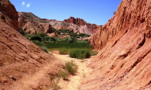 KIRGIZJA / Jezioro Issyk-kul / Kanion Skazka / Kolory si mieni