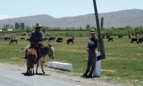 Zdjecie KIRGIZJA / obwd issykkulski / po poudniowej stronie  jeziora Issyk Kul / A co u ciebie kumie ?