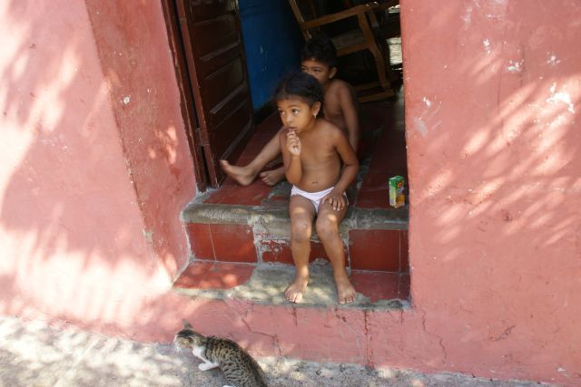 Zdjęcia: Cartagena , Cartagena , Kot, KOLUMBIA Zdjęcia: Cartagena , Cartagena , Kot, KOLUMBIA