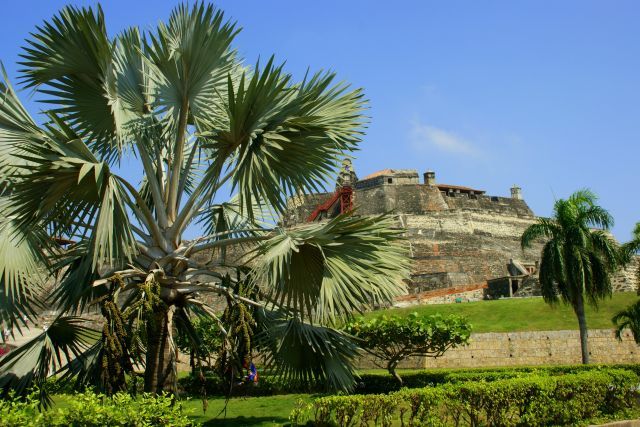 Zdjęcia: Cartagena , Cartagena , Palmy, KOLUMBIA Zdjęcia: Cartagena , Cartagena , Palmy, KOLUMBIA