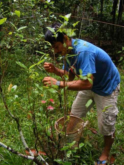 Zdj cia: Leticia, Amazonia, Kolumbia, KOLUMBIA