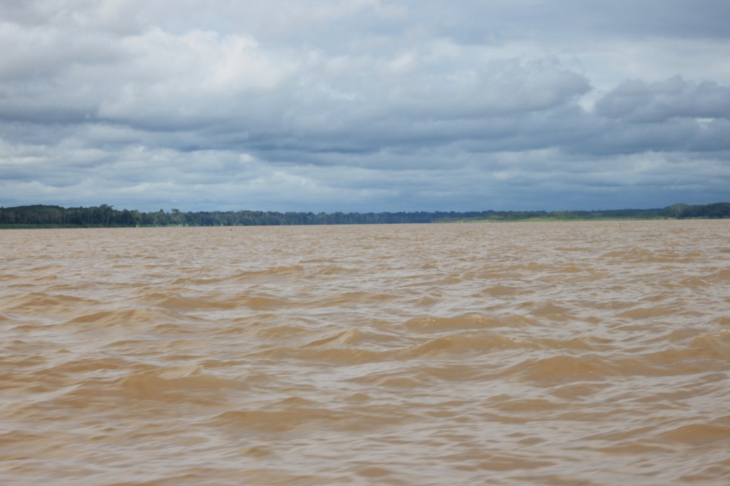 Zdjęcia: Amazonka, Puerto Narino, Nad Amazonką III, KOLUMBIA Zdjęcia: Amazonka, Puerto Narino, Nad Amazonką III, KOLUMBIA