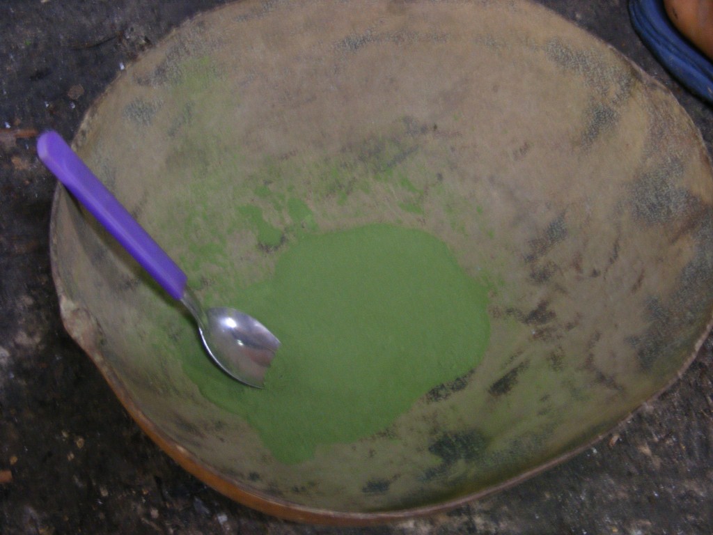 Zdjęcia: Leticia, Amazonia, Kolumbia, KOLUMBIA Zdjęcia: Leticia, Amazonia, Kolumbia, KOLUMBIA