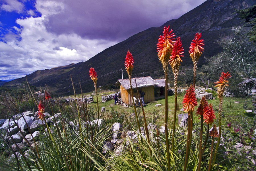 Zdjęcia: Sierra Nevada del Cocuy, Sierra Nevada del Cocuy, Trytomie, KOLUMBIA Zdjęcia: Sierra Nevada del Cocuy, Sierra Nevada del Cocuy, Trytomie, KOLUMBIA