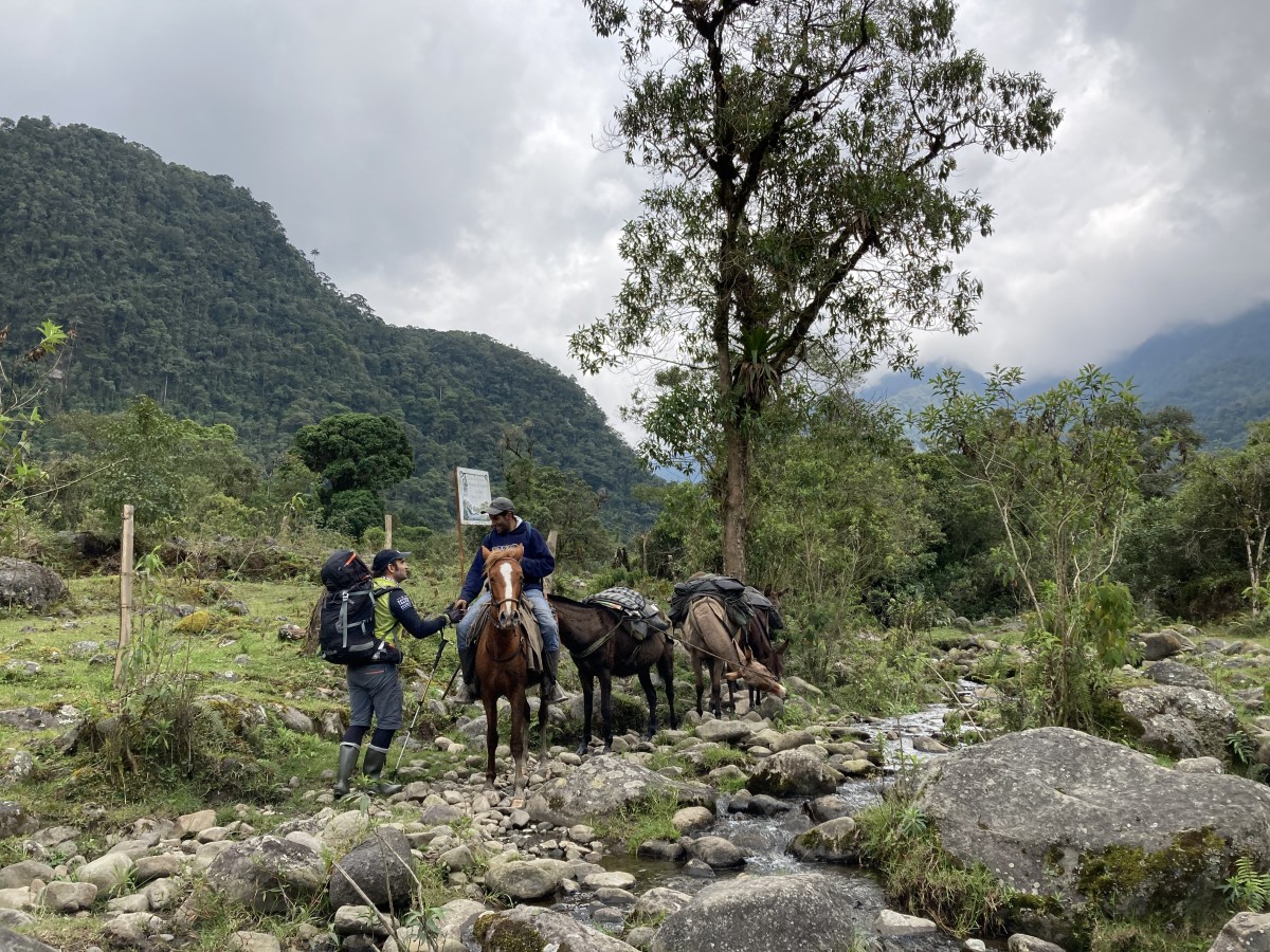 Zdjęcia: La Pastora, Nevado del Tolima, Tolima, KOLUMBIA Zdjęcia: La Pastora, Nevado del Tolima, Tolima, KOLUMBIA