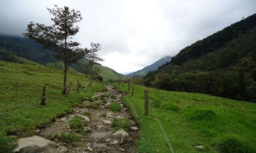 Zdjcie KOLUMBIA / Quindio / Cocora / Szlak