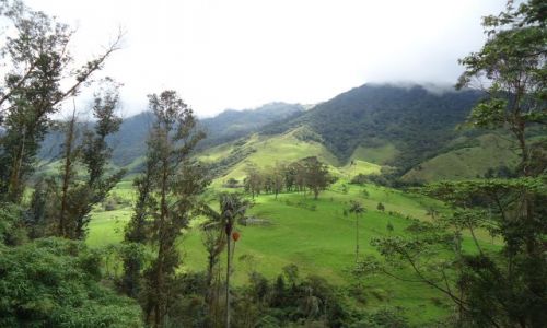 Zdjcie KOLUMBIA / Quindio / Cocora / Panorama doliny Cocory