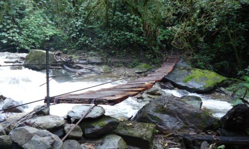 Zdjcie KOLUMBIA / Quindio / Cocora / Szlak