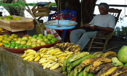 Zdjecie KOLUMBIA / Bolivar / Mompox / Na targu