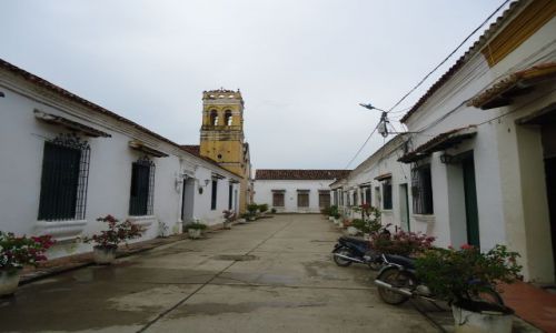 Zdjecie KOLUMBIA / Bolivar / Mompox / Kocioy Mompox (5)