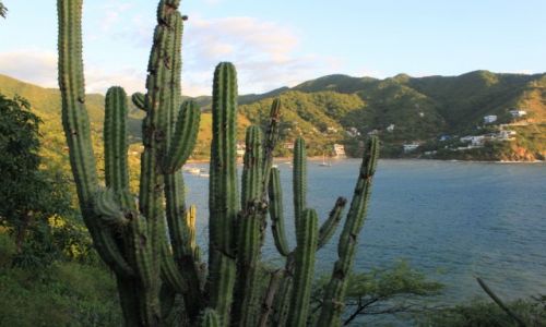 Zdjcie KOLUMBIA / Santa Marta / Taganga / Bahia de Taganga