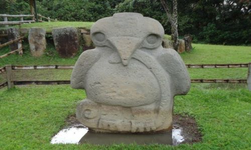 Zdjcie KOLUMBIA / Huilla / San Agustin / Ptak