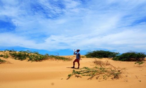 Zdjecie KOLUMBIA / La Guajira / La Guajira / Spragniony na pustyni