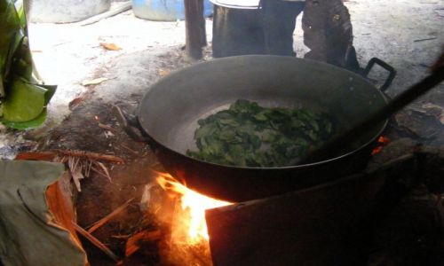 KOLUMBIA / Amazonia / Leticia / Kolumbia