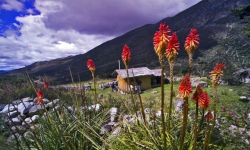 Zdjcie KOLUMBIA / Sierra Nevada del Cocuy / Sierra Nevada del Cocuy / Trytomie