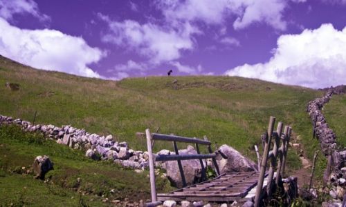 Zdjcie KOLUMBIA / del Cocuy / del cocuy / grskie pastwisko
