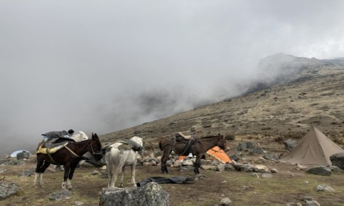 Zdjcie KOLUMBIA / Nevado del Tolima / Nevado del Tolima base camp / Tolima