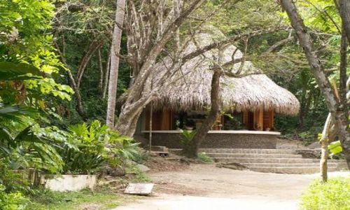 Zdjecie KOLUMBIA / Parque Nacional Tayrona / Parque Nacional Tayrona / Parque Nacional Tayrona