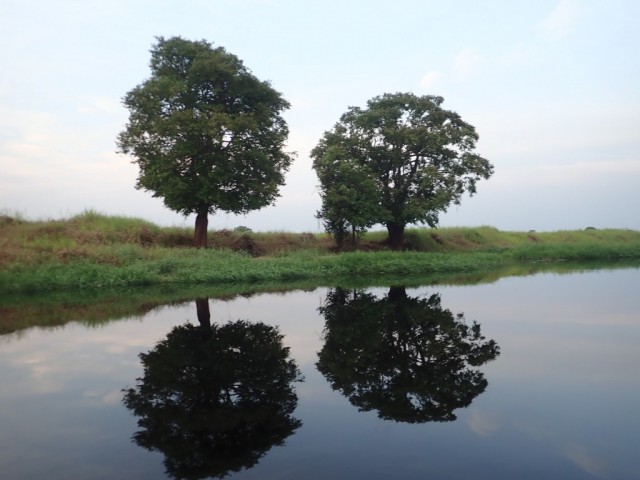 Zdj cia: Matoko, Likouala Aux Herbes River, KONGO