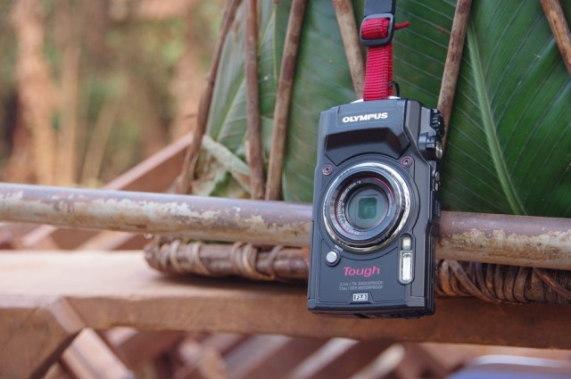 Zdj cia: Matoko, OlympusTG-5, KONGO