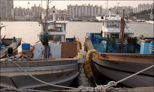KOREA POUDNIOWA / - / m. Pohang / port