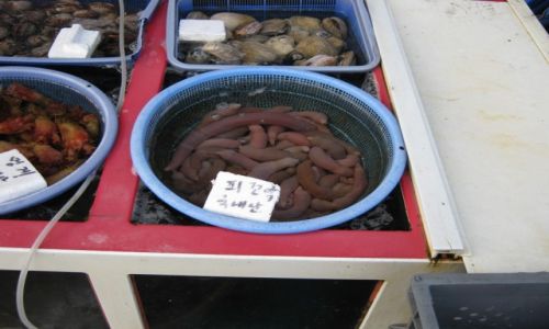 Zdjęcie KOREA POŁUDNIOWA / Jeollanam - do / MOKPO / Koreańskie przysmaki - smacznego:)