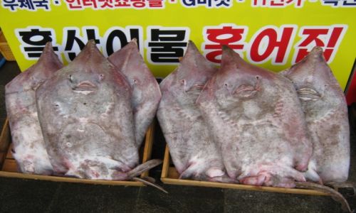 Zdjęcie KOREA POŁUDNIOWA / Jeollanam - do / MOKPO / Smutne uśmiechy...