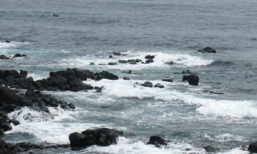 Zdjęcie KOREA POŁUDNIOWA / Wyspa Czedzu / Pd wyspy / Syreny z wyspy Jeju