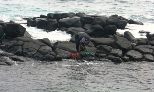 Zdjęcie KOREA POŁUDNIOWA / Wyspa Czedzu / Pd wyspy / Powrót z głębin oceanu