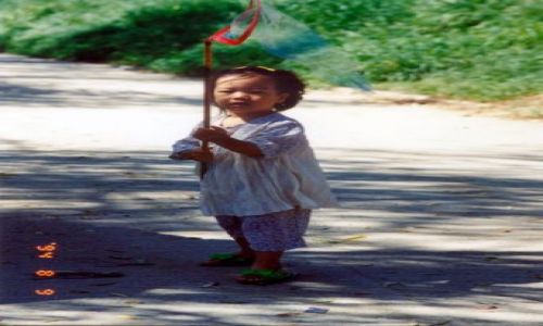 KOREA PO�UDNIOWA / brak / Pobli�e Seulu / Dziecko z siatk� na motyle