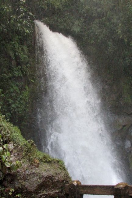 Zdjęcia: La Paz Waterfall Gardens, okolice Volcan Poas, Wodospad, KOSTARYKA Zdjęcia: La Paz Waterfall Gardens, okolice Volcan Poas, Wodospad, KOSTARYKA