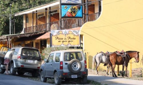 Zdjecie KOSTARYKA / - / Playa Samara / Ile koni?