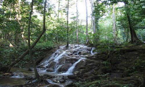 Zdjecie KOSTARYKA / Peninsula de Nicoya  / Puntarenas / wodospad