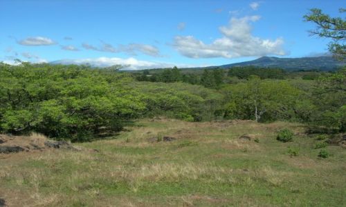 Zdjęcie KOSTARYKA / Heredia / Barva / Barva