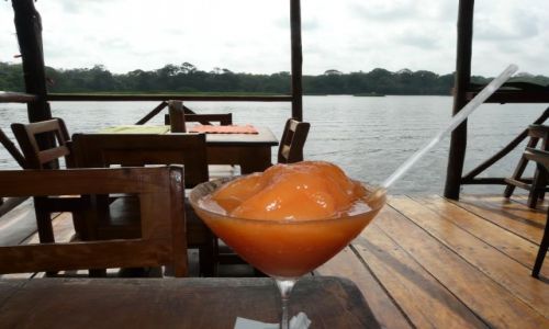 Zdjcie KOSTARYKA / Tortuguero / Tortuguero / ...