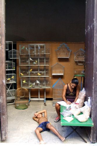Zdjęcia: havana, kuba, sklep zoologiczny, KUBA Zdjęcia: havana, kuba, sklep zoologiczny, KUBA
