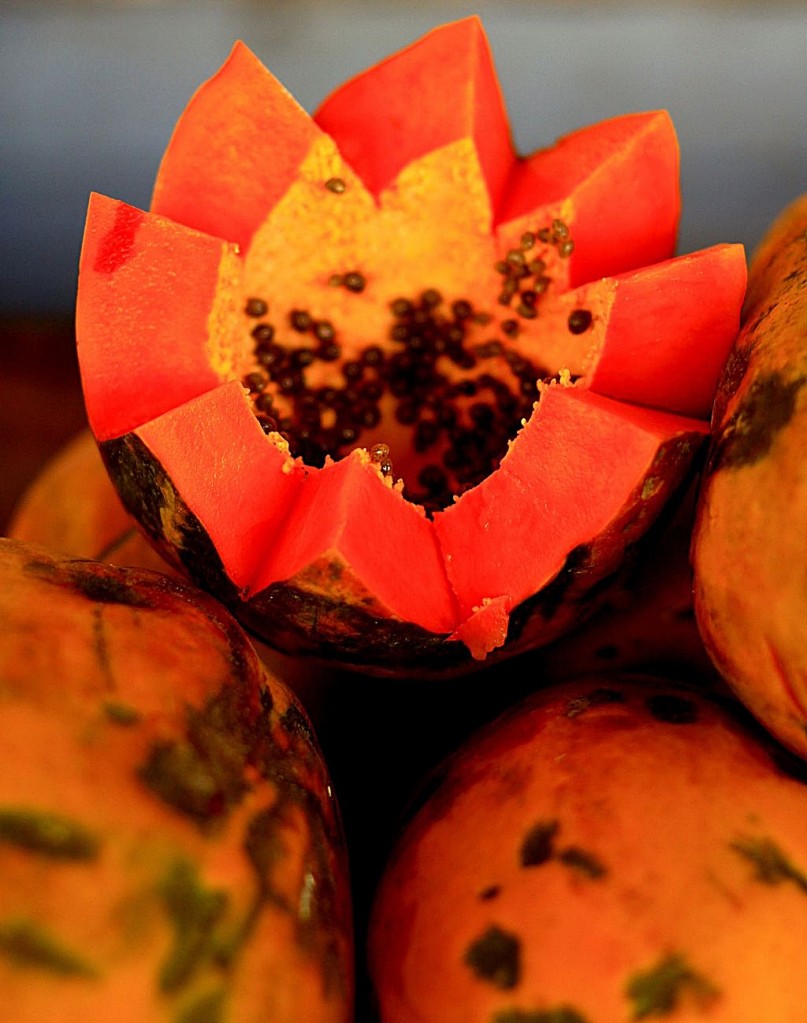 Zdjęcia: Kuba, Kuba, Papaya, KUBA Zdjęcia: Kuba, Kuba, Papaya, KUBA