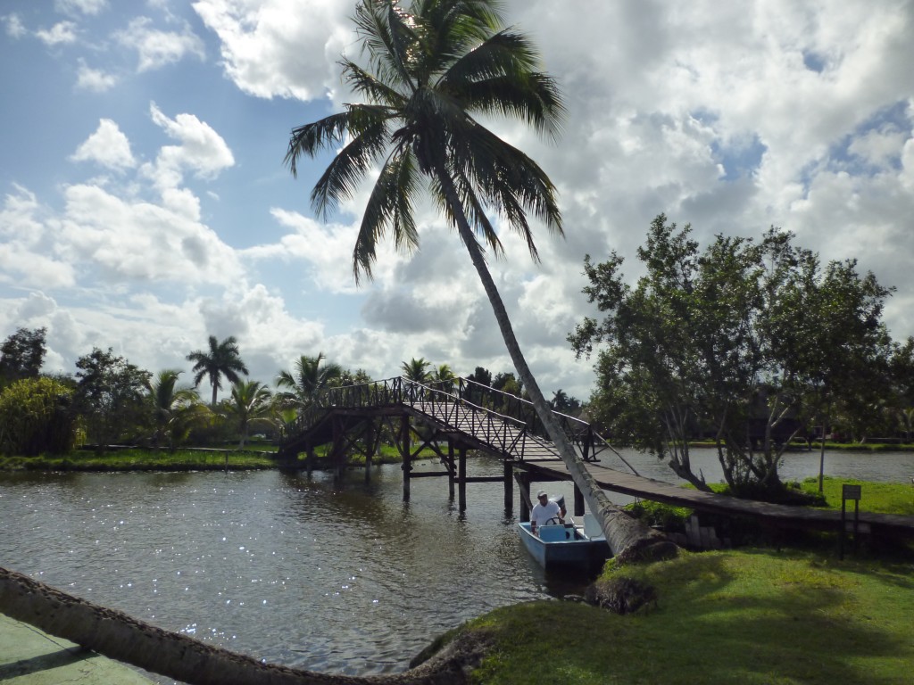Zdjęcia: Zapata, Kuba południowa, KUBA, KUBA Zdjęcia: Zapata, Kuba południowa, KUBA, KUBA